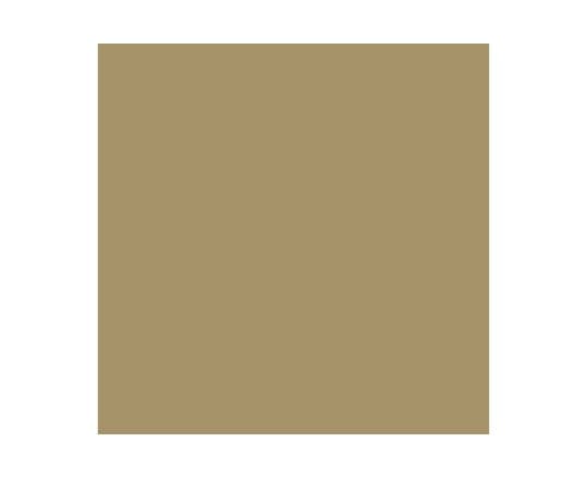 Vallejo Vallejo Model Air Bright Brass (Metallic) 71.067 uniwersalny