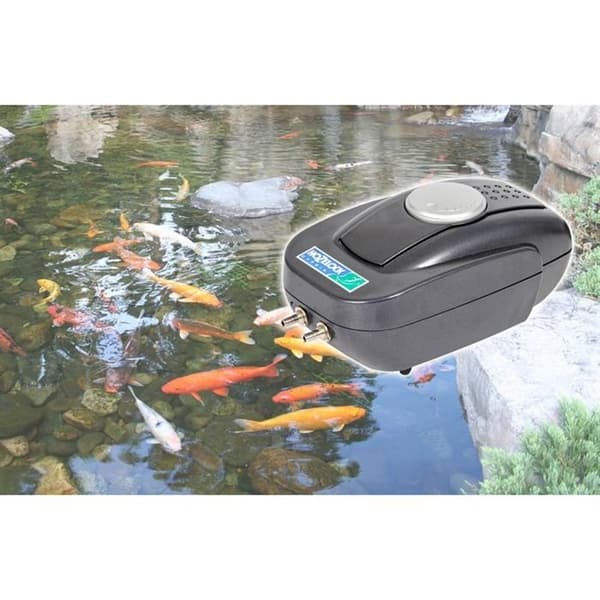Luftpump 220 -230V för fiskdammar 640 lh