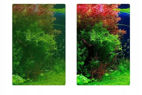 AKVARIESKRABBER AKVARIUM GLASRENSER 62 CM