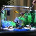 Miniatyrbild 3 av 4: Akvariegrus Rengöringskit, 28W Pump, 2m Vattenrör, 360° Sughuvud,220V, EU