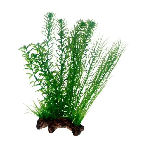 Dekor Flora Root 2 L 30cm Grön