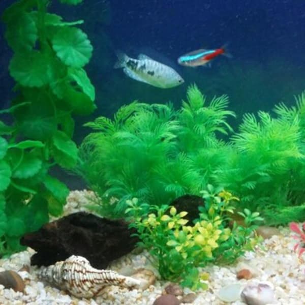 Slittålig Konstgjord Akvarium Plast Växt Dekoration