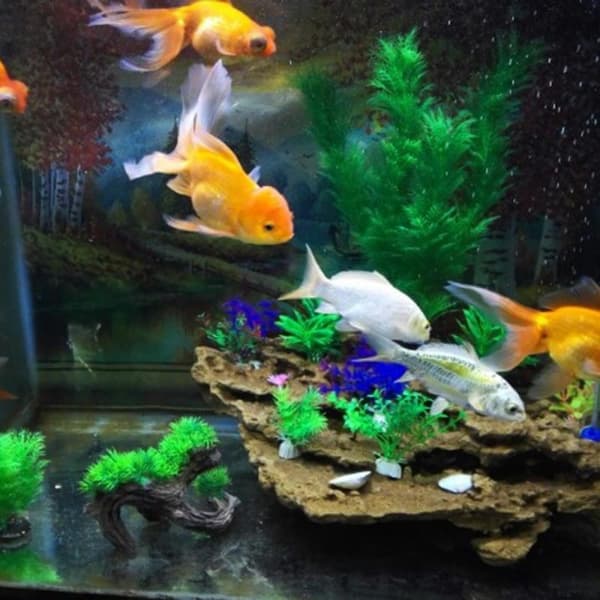 Hållbar Akvarium Plast Växt Dekoration