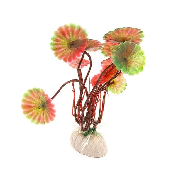 2 pack Akvarieväxt / inredning akvarium - Runda blad Röd
