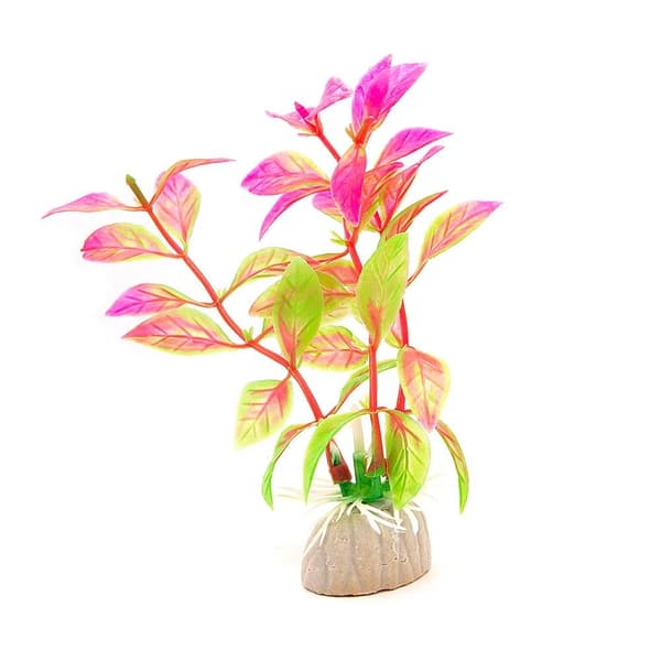 2-pack Akvarieväxt / inredning akvarium - Bladväxt Rosa/Grön