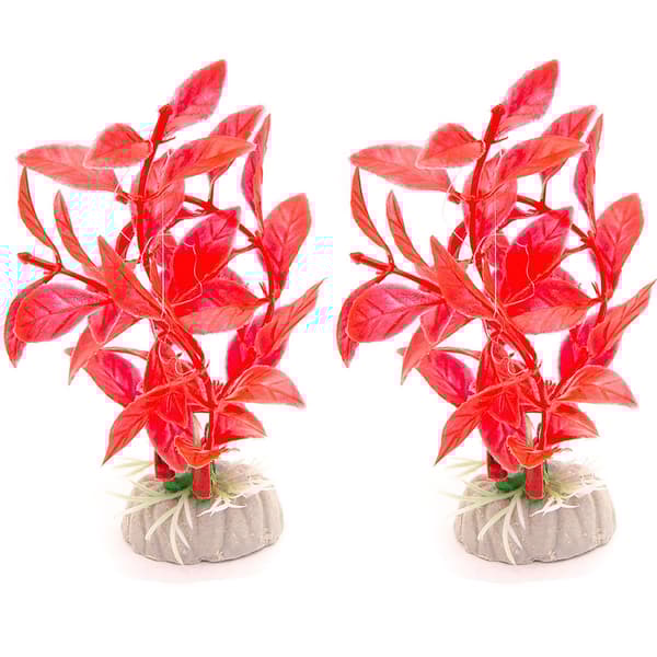2-pack Akvarieväxt / inredning akvarium - Bladväxt Röd