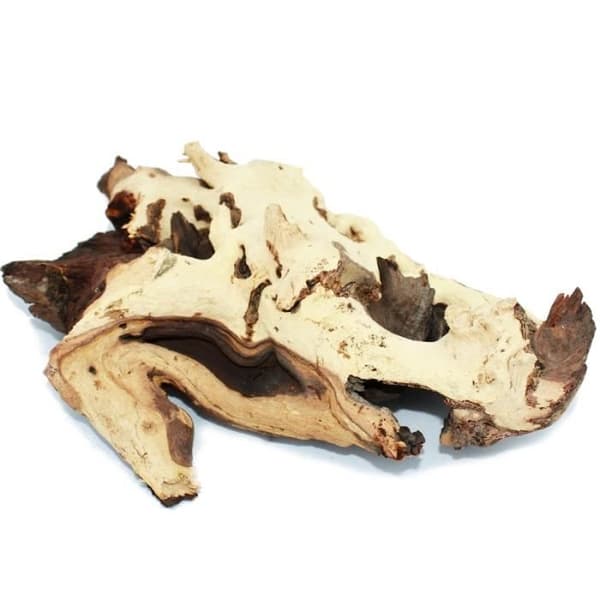 Mopanierot Gr. L 23-29 cm