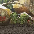 Miniatyrbild 5 av 5: vidaXL Lavagrus 10 kg svart 1-2 cm
