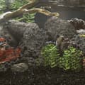 Miniatyrbillede 5 af 5: vidaXL vulkanske sten 10 kg 10-30 cm sort
