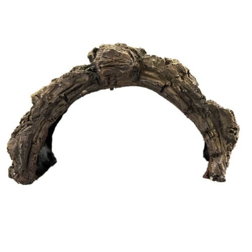 Bark Cave M Brun Bark Cave M Brun