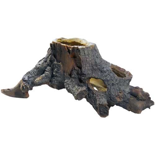 Stump Cavity 2 Brun