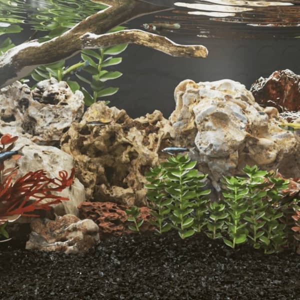 The Living Store Drakstenar 10 kg blandade färger 10-30 cm - Akvarieprydnader