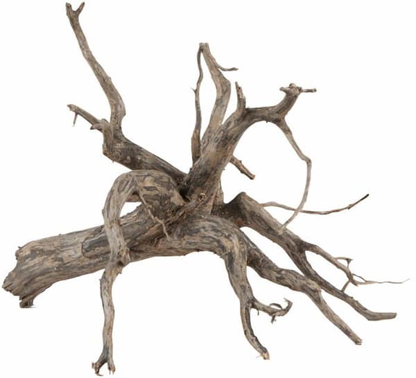 Sera - 32360 - Scaper Root Storlek M Dekoration 30 - 35 cm 1 Enhet