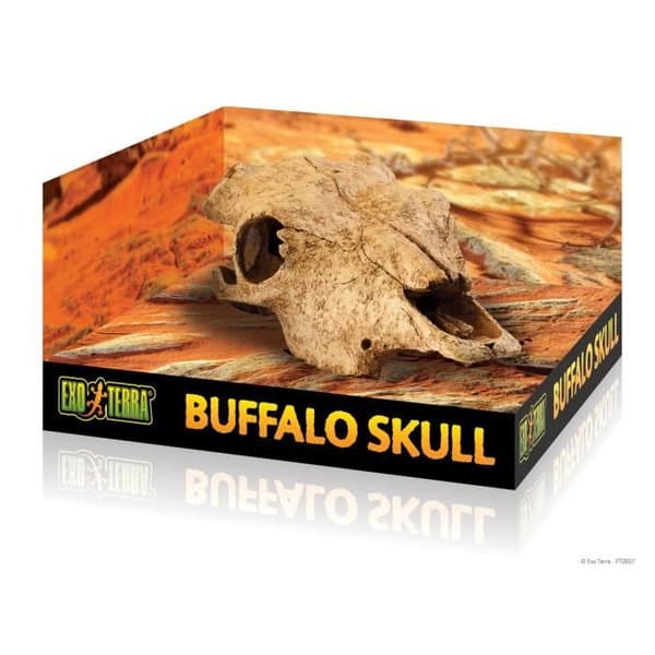 Dekor Kråka Bison - Exo Terra - Dekor kråka ko - Reptil - Vit - Plast