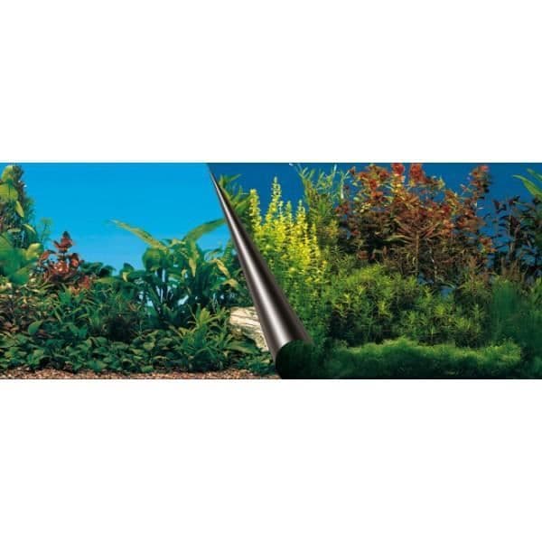 EBI Aquarium bakgrundsaffisch - 60 x 30 cm - Ocean / Flora print