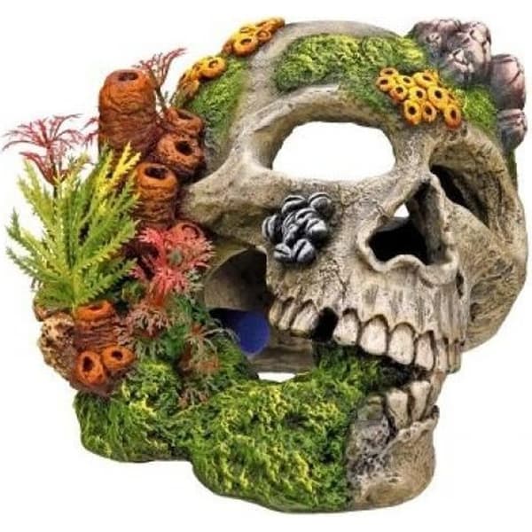 Akvariedekoration - NOBBY - 28135 - Dödskalle - Plast - Resin