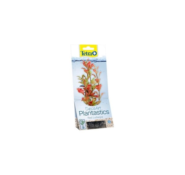 Plastväxt Tetra Ludwigia, liten, röd