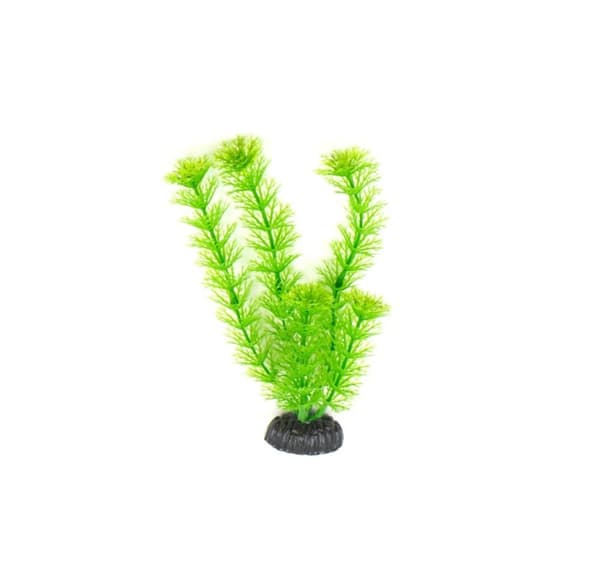 Plast plante M004 20cm