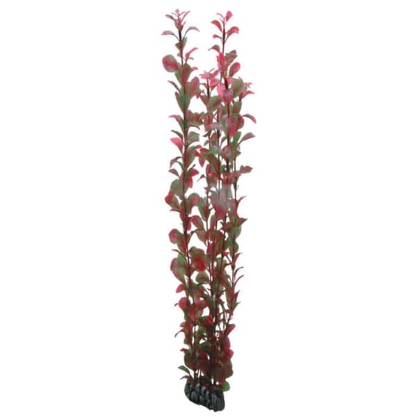 Hobby Ludwigia, konstgjord akvarieplanta, 60 cm