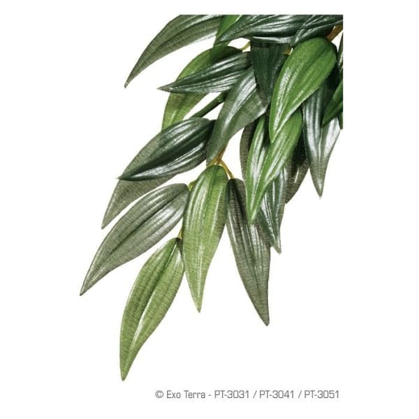 EXO TERRA Ruscus Plant - Grön - För terrarium