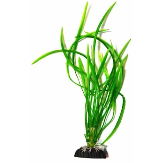 AQUAEL PLASTIKPLANTE AP-016 8 (20 CM)