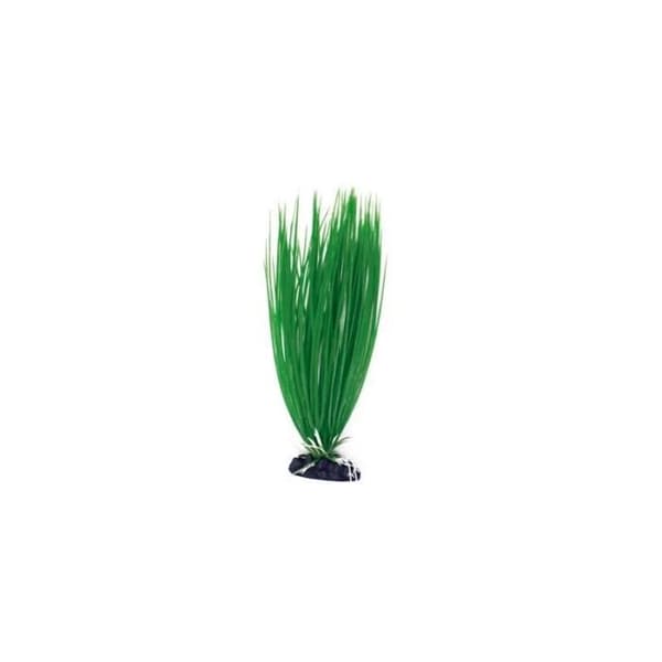 Plastväxt ACORUS - Höjd: 18cm