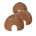 Miniatyrbild 1 av 2: Cachett - Noname - Sats med kokosnöt - Ø 8/10/12 cm - 3 delar - Naturlig dekoration