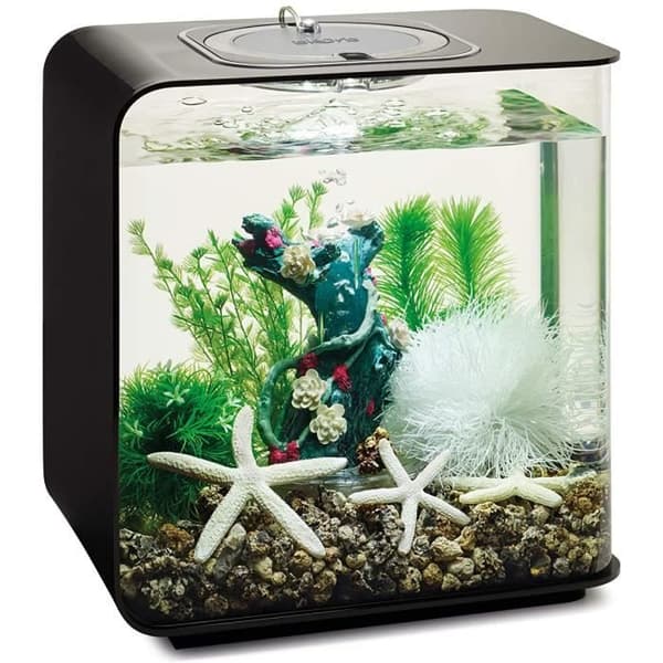 Dekorativt set - biOrb - Blomstrande trädgård - 15L - Växter - Stenar - Trä