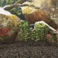 Miniatyrbild 5 av 5: vidaXL Basaltgrus 25 kg svart 3-5 mm