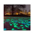 Miniatyrbild 4 av 4: 200 stycken självlysande småsten självlysande sten Flerfärgade småsten Trädgårds dekorativa glödstenar Fluorescerande dekor gångvägar