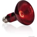 Miniatyrbillede 1 af 2: BASKING SPOT infrarød lampe 75 W