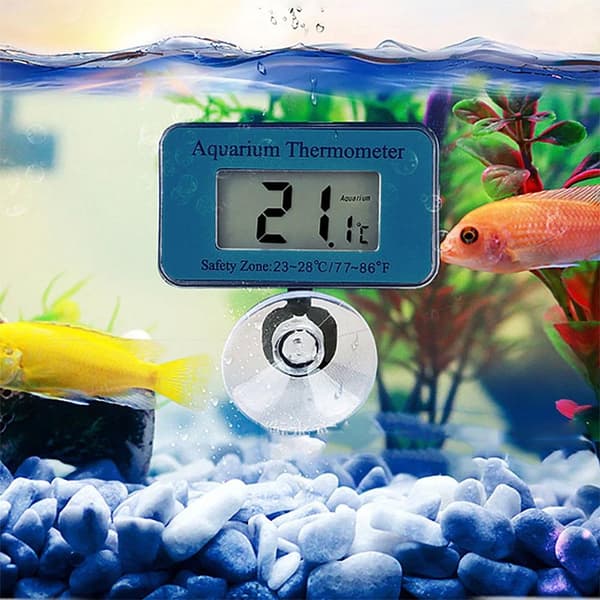 Termometer till akvarium - Trådlös digital m sugpropp