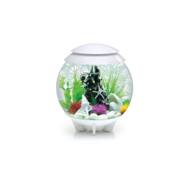 Oase dekorativt akvarium 30l vit - Halo 30 MCR vit