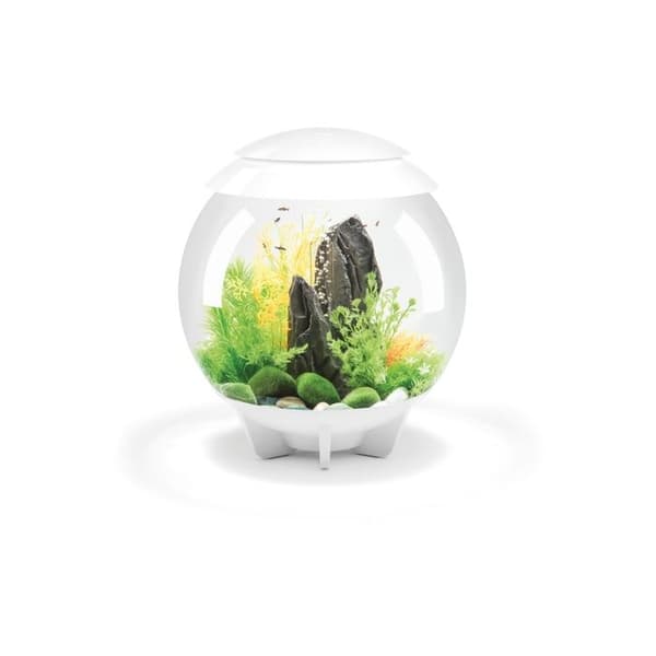 Oase dekorativt akvarium 30l vit - Halo 30 MCR vit