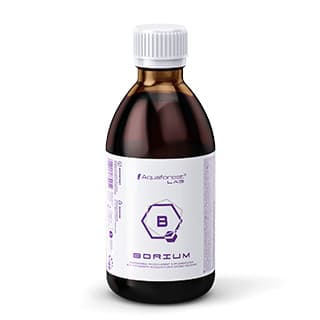 AQUAFOREST Borium LAB 1000ml