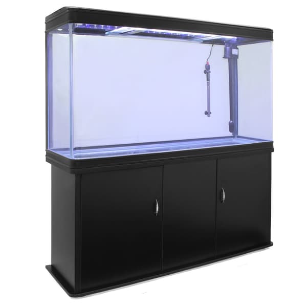 Aquarium Fish Tank & with Complete Starter Kit Black Tank