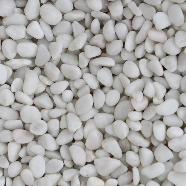 300 L Akvarium med Sort Kabinet, Tilbehør og Hvidt Sand | Akvarieskabe, Sand, Dekorationer, Planter, Dyppevarmer, Filter, Luftpumpe, Belysning