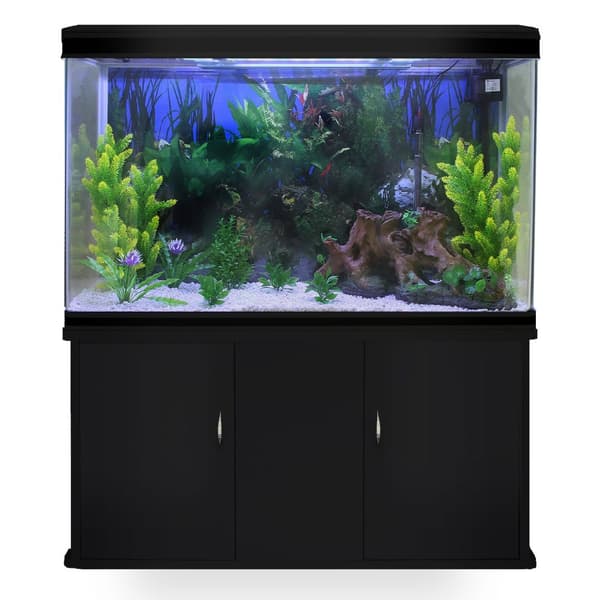300 L Akvarium med Sort Kabinet, Tilbehør og Hvidt Sand | Akvarieskabe, Sand, Dekorationer, Planter, Dyppevarmer, Filter, Luftpumpe, Belysning