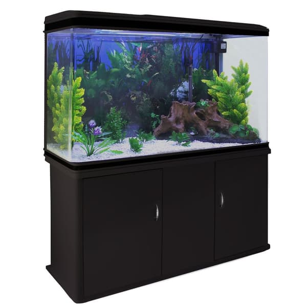 300 L Akvarium med Sort Kabinet, Tilbehør og Hvidt Sand | Akvarieskabe, Sand, Dekorationer, Planter, Dyppevarmer, Filter, Luftpumpe, Belysning