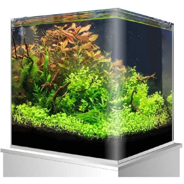Amtra Nano Tank Aquarium Aquarium 60 - A2001314