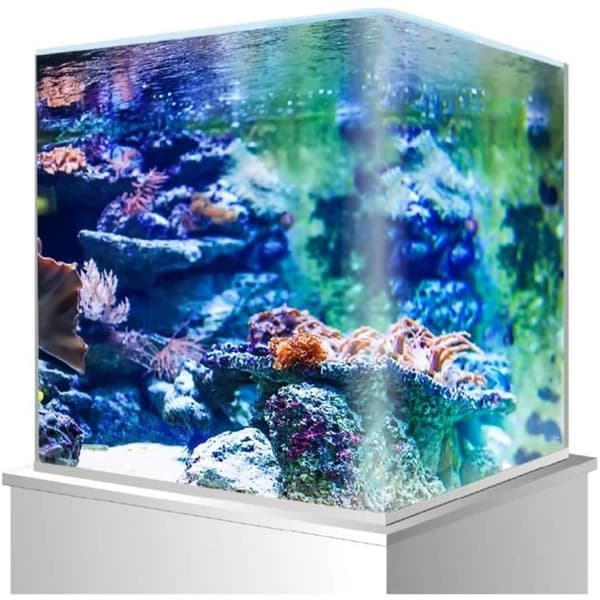 Amtra Nano Tank Aquarium Aquarium 60 - A2001314