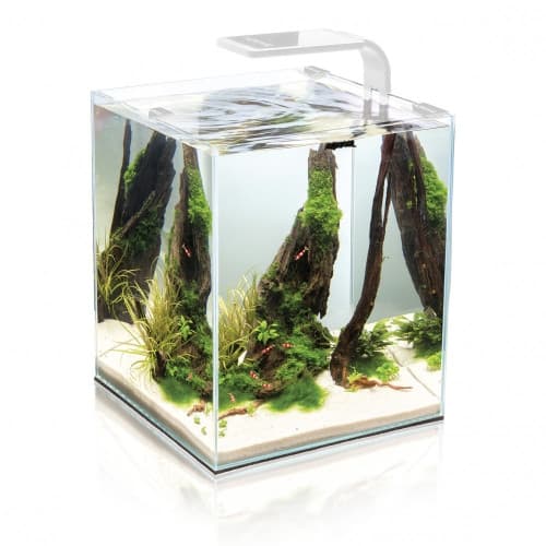Day&night Shrimp Set Aquarium Vit