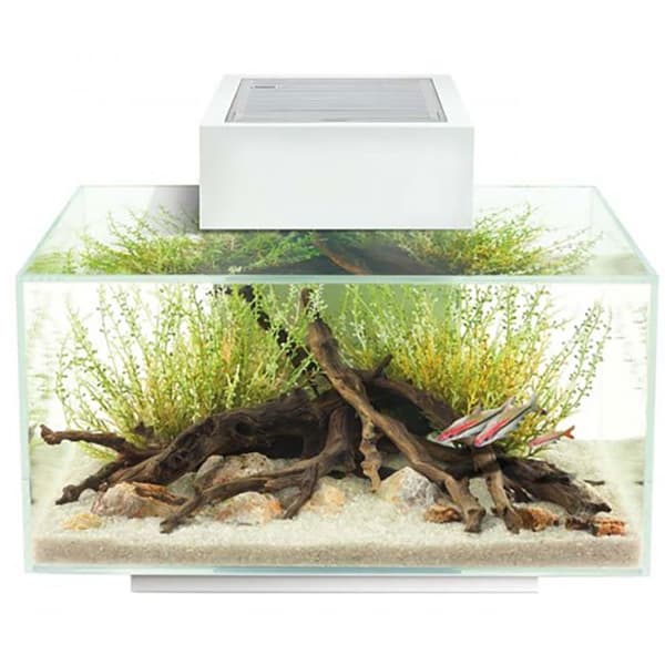 Fluval Akvaariosarja Edge Led 2.0 23l