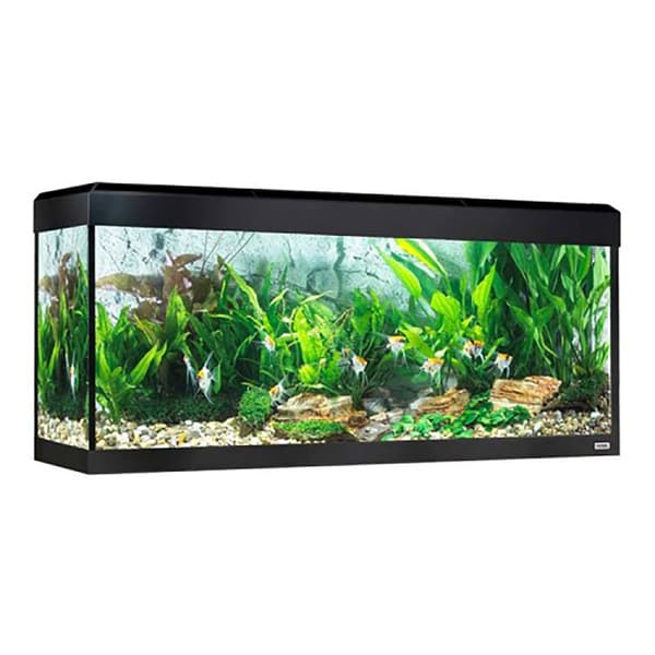 Fluval Akvarium Roma Led Bluetooth 240l