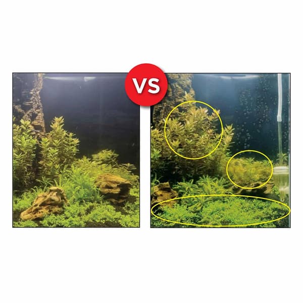 Fluval Lavtrykssystem Bio Co2 Pro 125l