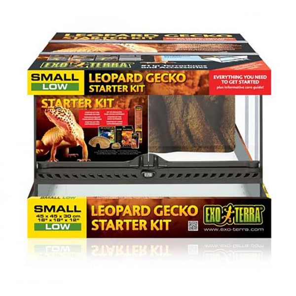 Exo Terra Terrarium Startpaket Gecko
