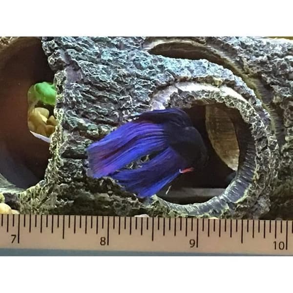 Akvariumdekoration Hartsrot, Akvariumgrottträd Artificiell grottdekoration för akvariedekorationer Inredning Hem