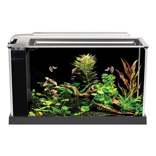 Fluval Spec 19l Akvarium