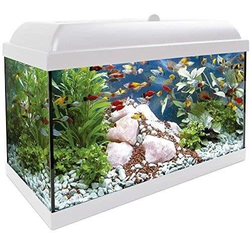 ICA Aqua-LED Pro 68 Kit med internt filter - KDI68B