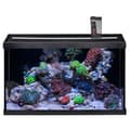 Miniatyrbild 4 av 4: Eheim - AquaStar Marine LED Aquarium Utrustat med 63L - Svart